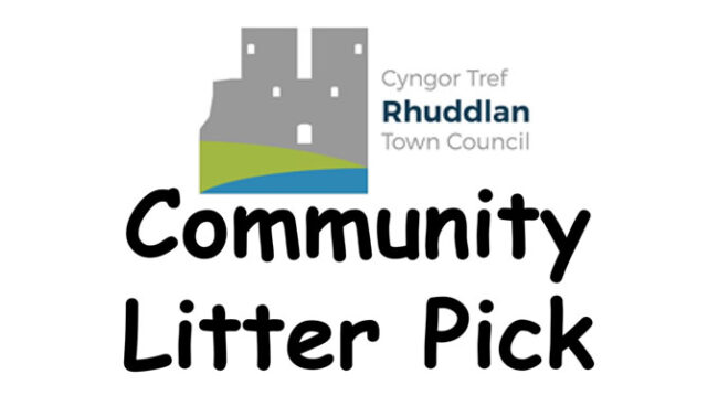 Litter Pick