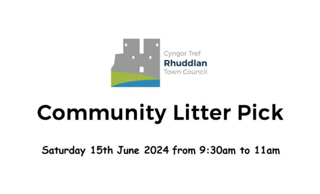 Litter Pick