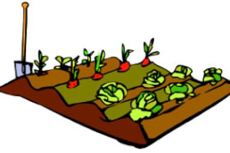 Allotments