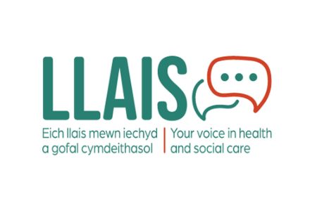 Have Your Say Llais