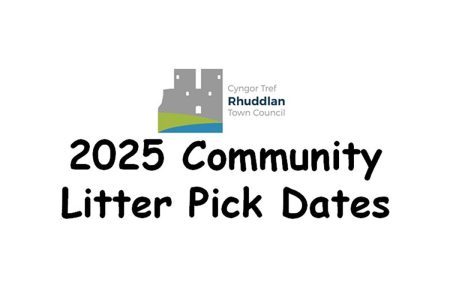 Rhuddlan Litterpick
