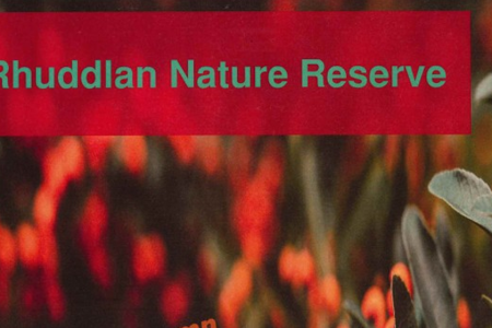 Rhuddlan Nature Reserve