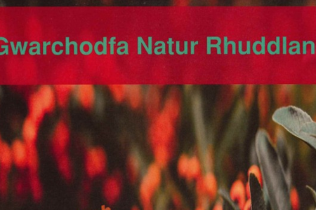 Rhuddlan Nature Reserve welsh
