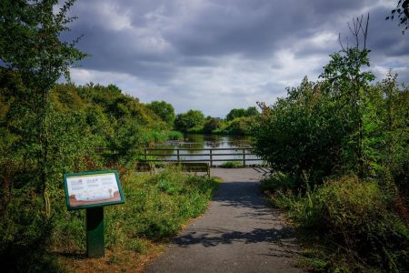 Rhuddlan Nature Reserve44