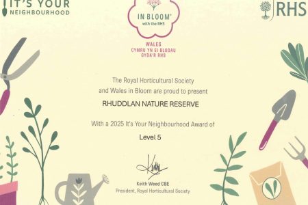 Rhuddlan in bloom
