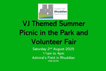 VJ Themed Summer Picnic