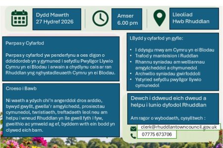 Wales in Bloom 2027 Welsh