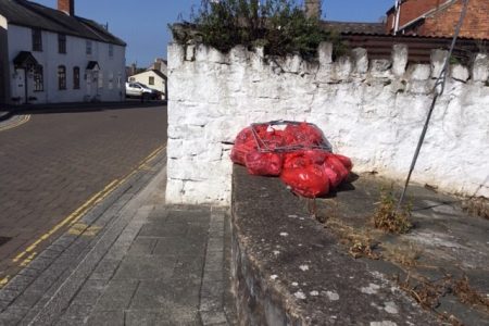 litter-pick-2